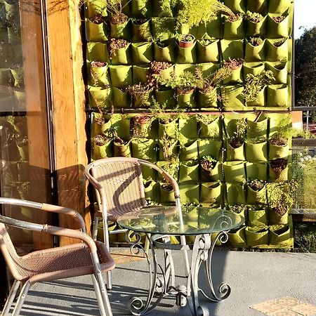 Preciosa Cabana En Fraijanes Экстерьер фото